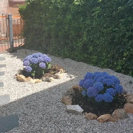 Domu Mia דירה